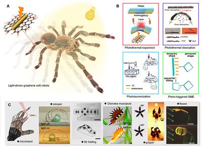 Light-Responsive Actuators Based on Graphene